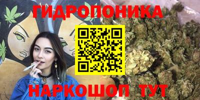 индика Славянск-на-Кубани