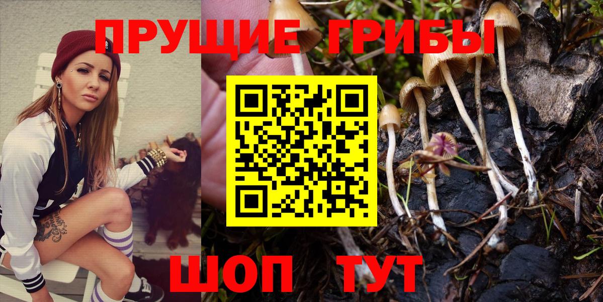 Галлюциногенные грибы Magic Shrooms  Вход с VPN  Новотроицк 