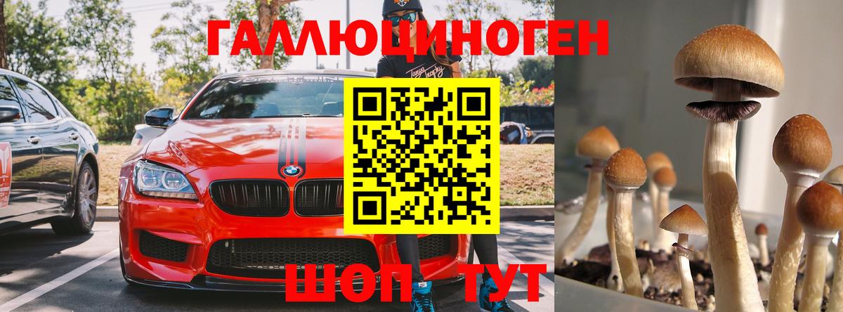 Галлюциногенные грибы MAGIC MUSHROOMS Новотроицк